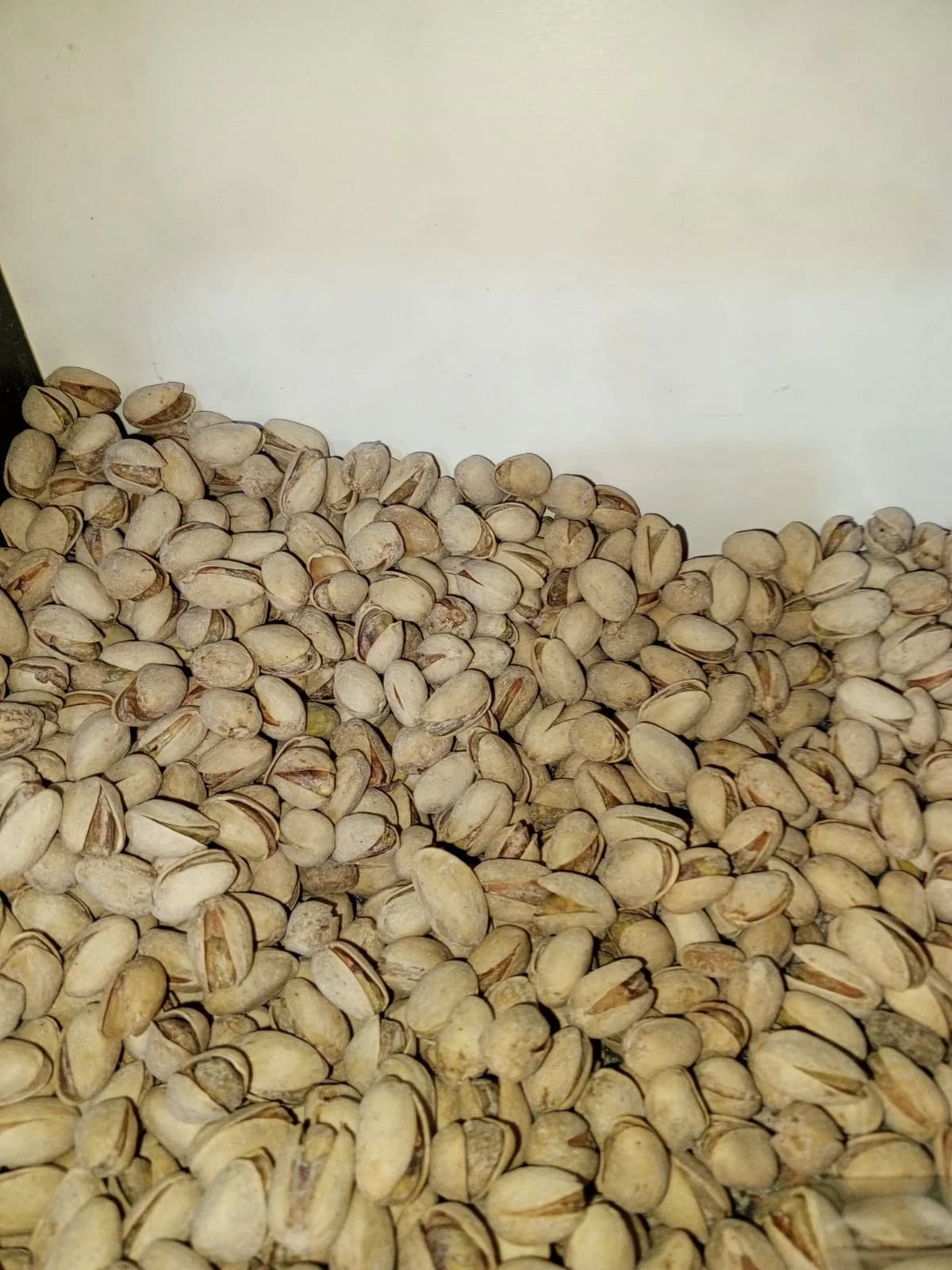 فستق أمريكي مالح