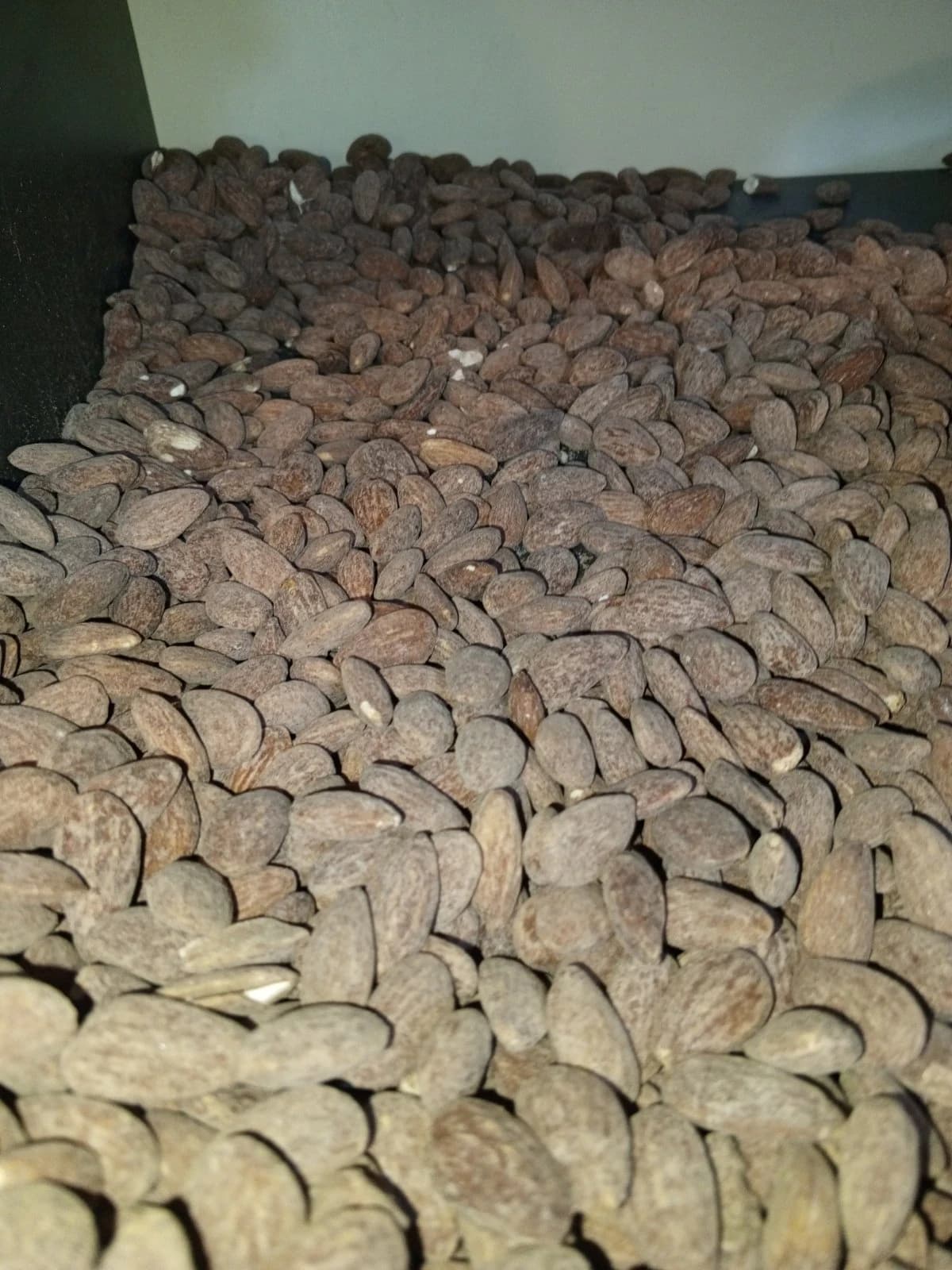 لوز مالح