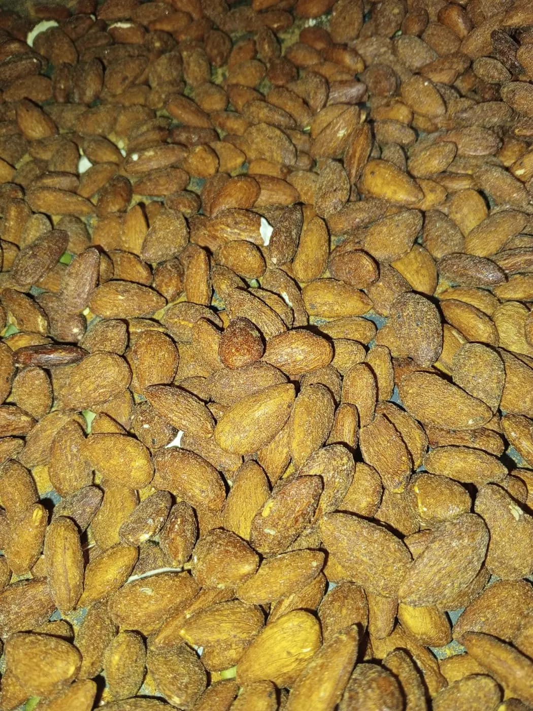لوز متبل