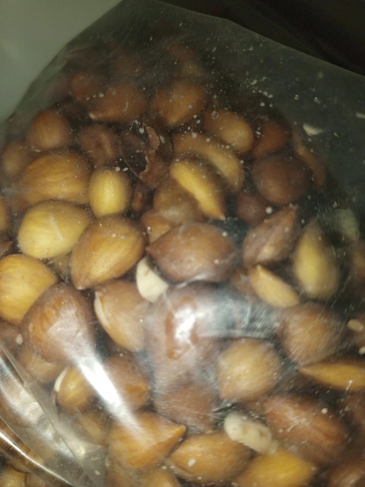باسورك لب