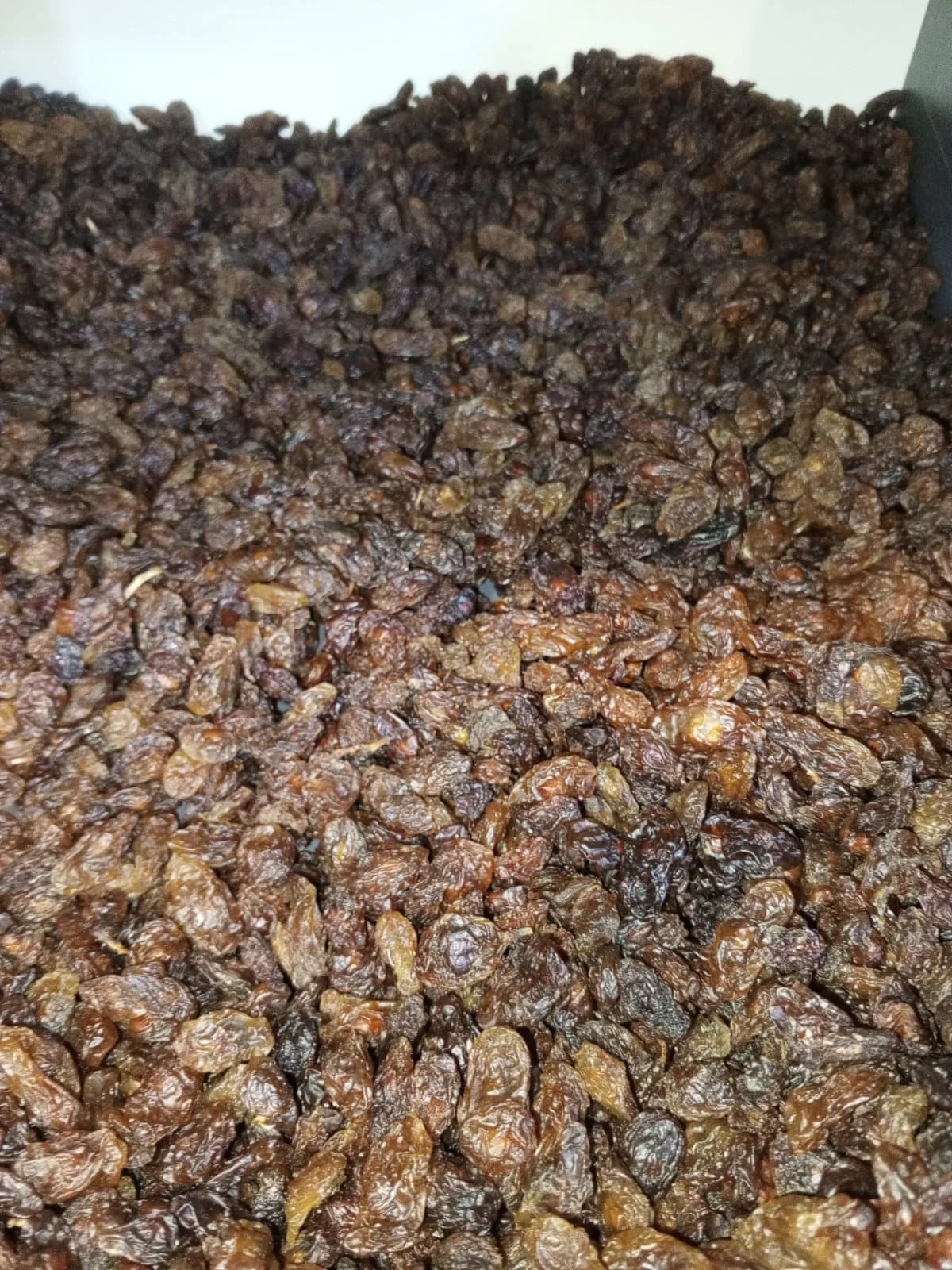 زبيب احمر
